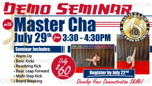 Demo Seminar with Master Cha