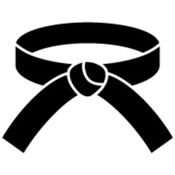 What Does Earning a Black Belt Mean?
