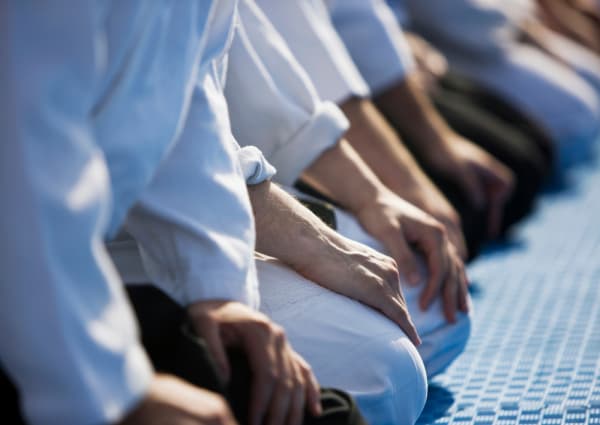 Aikibudo in Lewisville