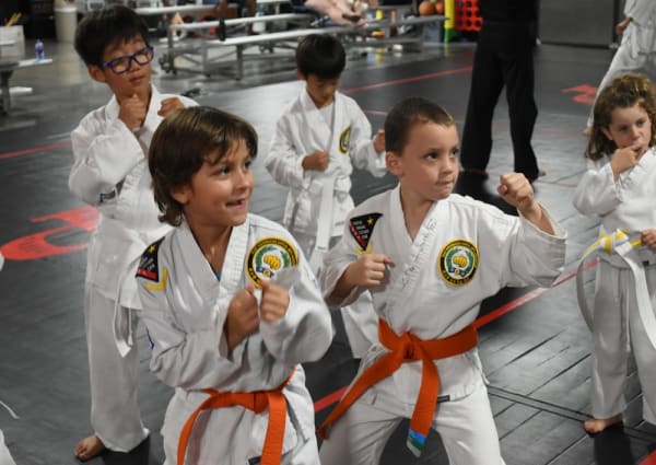 Kids Martial Arts near Cedar Park