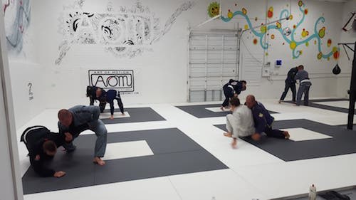Adult Jiu Jitsu near Indian Trail