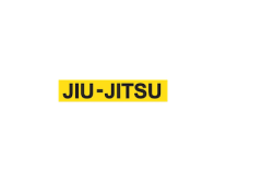 Adult BJJ Class #7