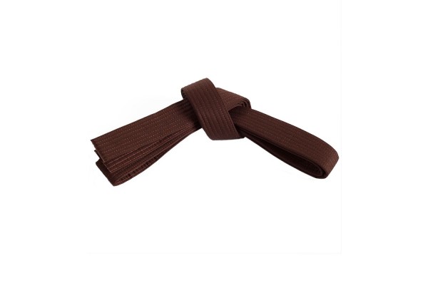 Intermediate Brown Belt Curriculum