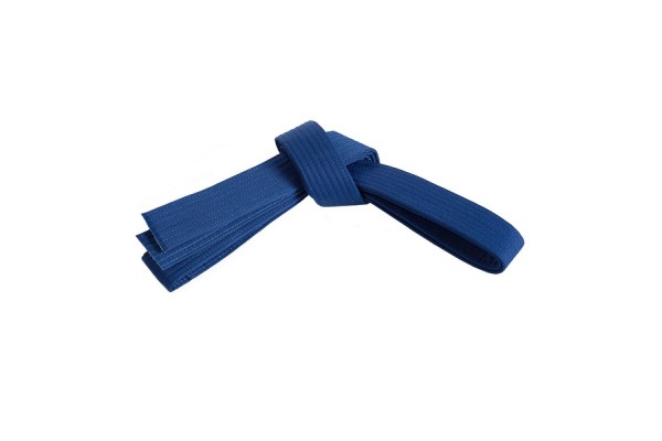 Blue Belt Curriculum