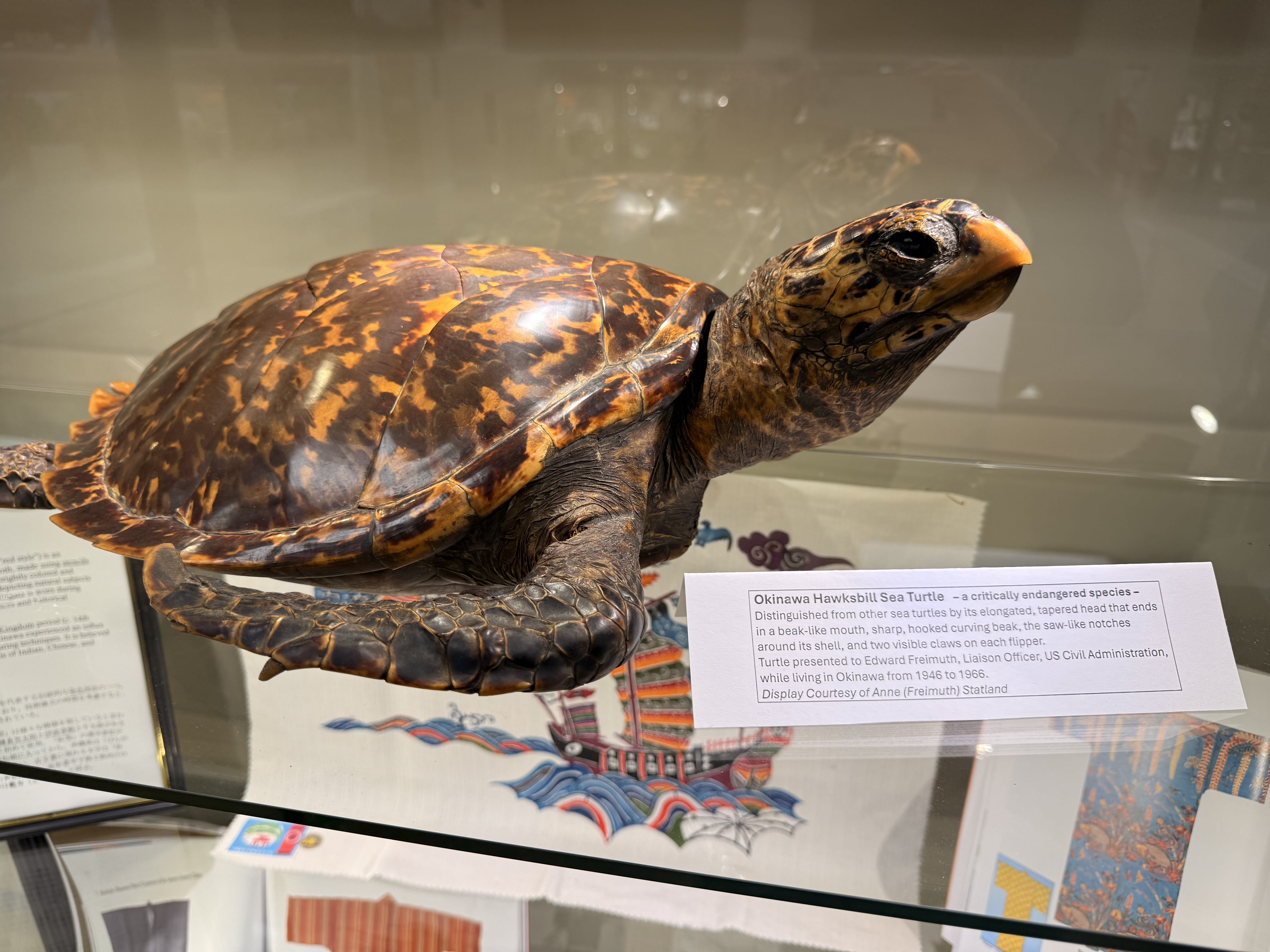 Kids Martial Arts near Chantilly