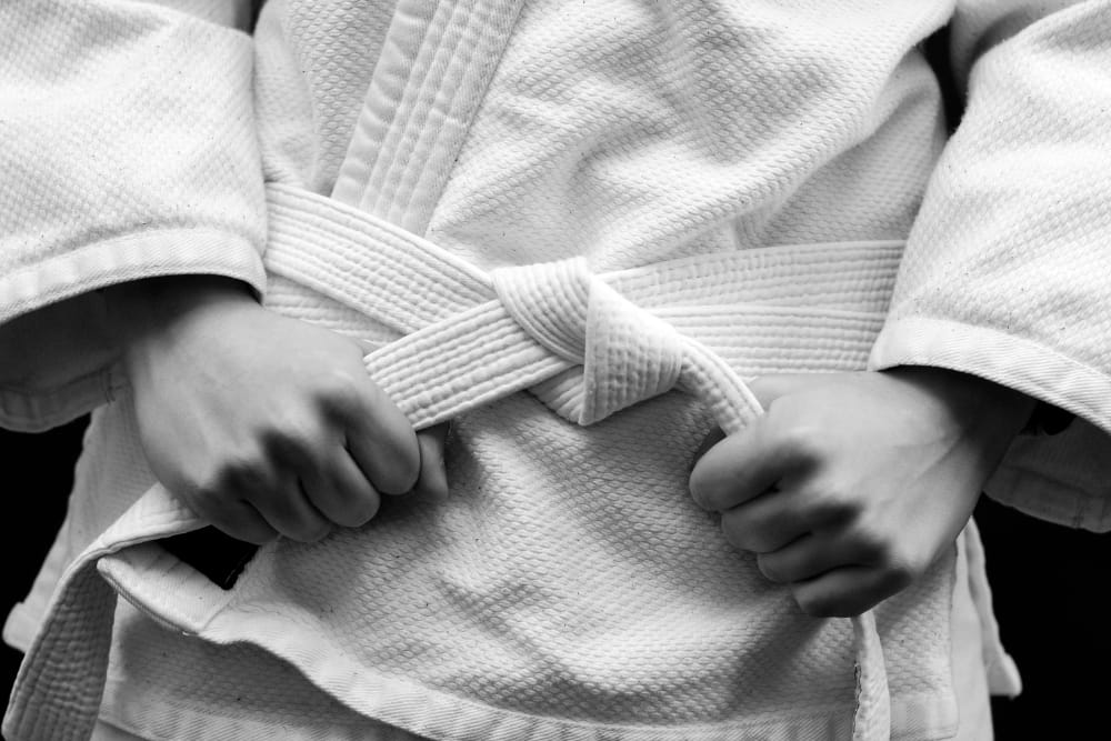 Adult Martial Arts near Langley