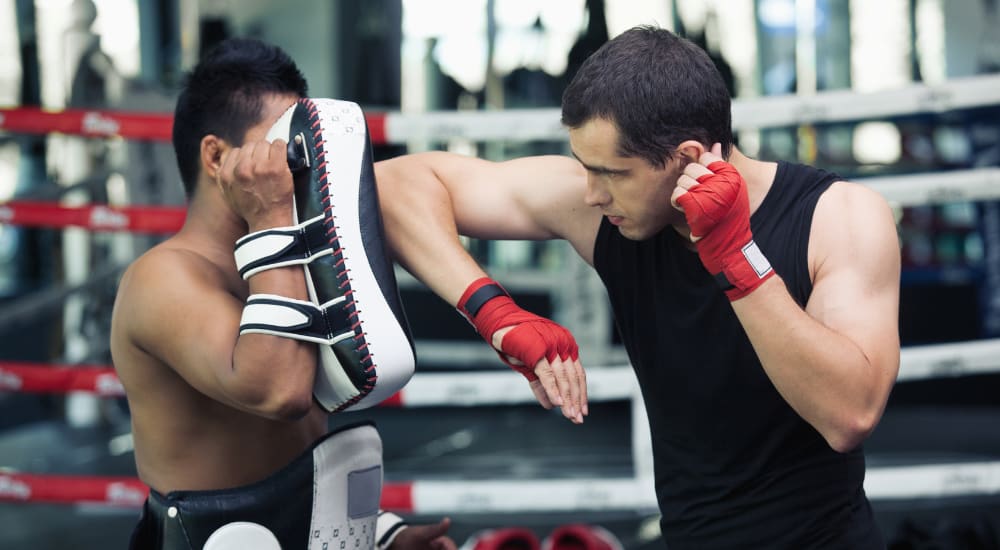 Boxing near Berlin