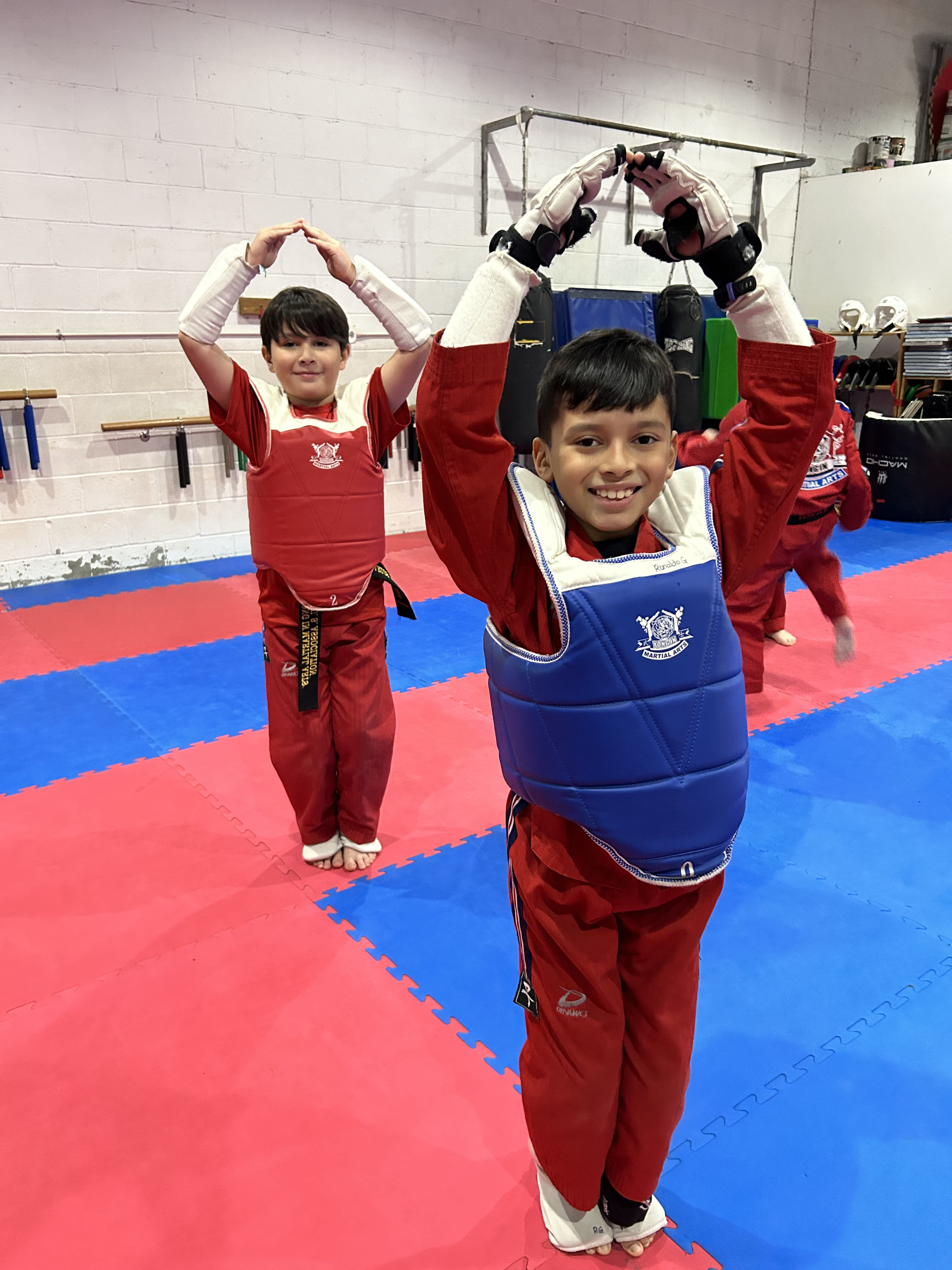 Kids Martial Arts near Chicago