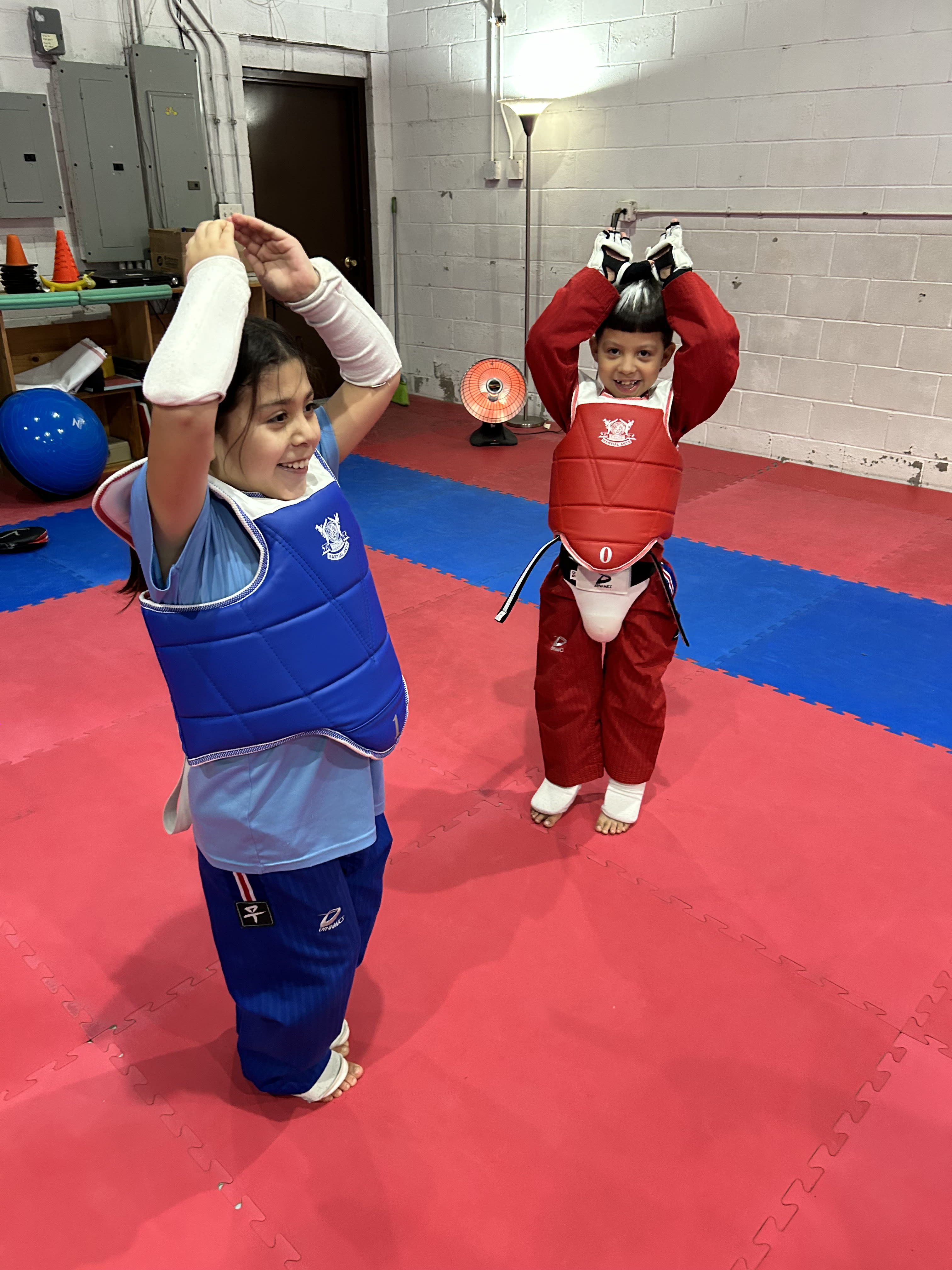 Kids Martial Arts near Chicago