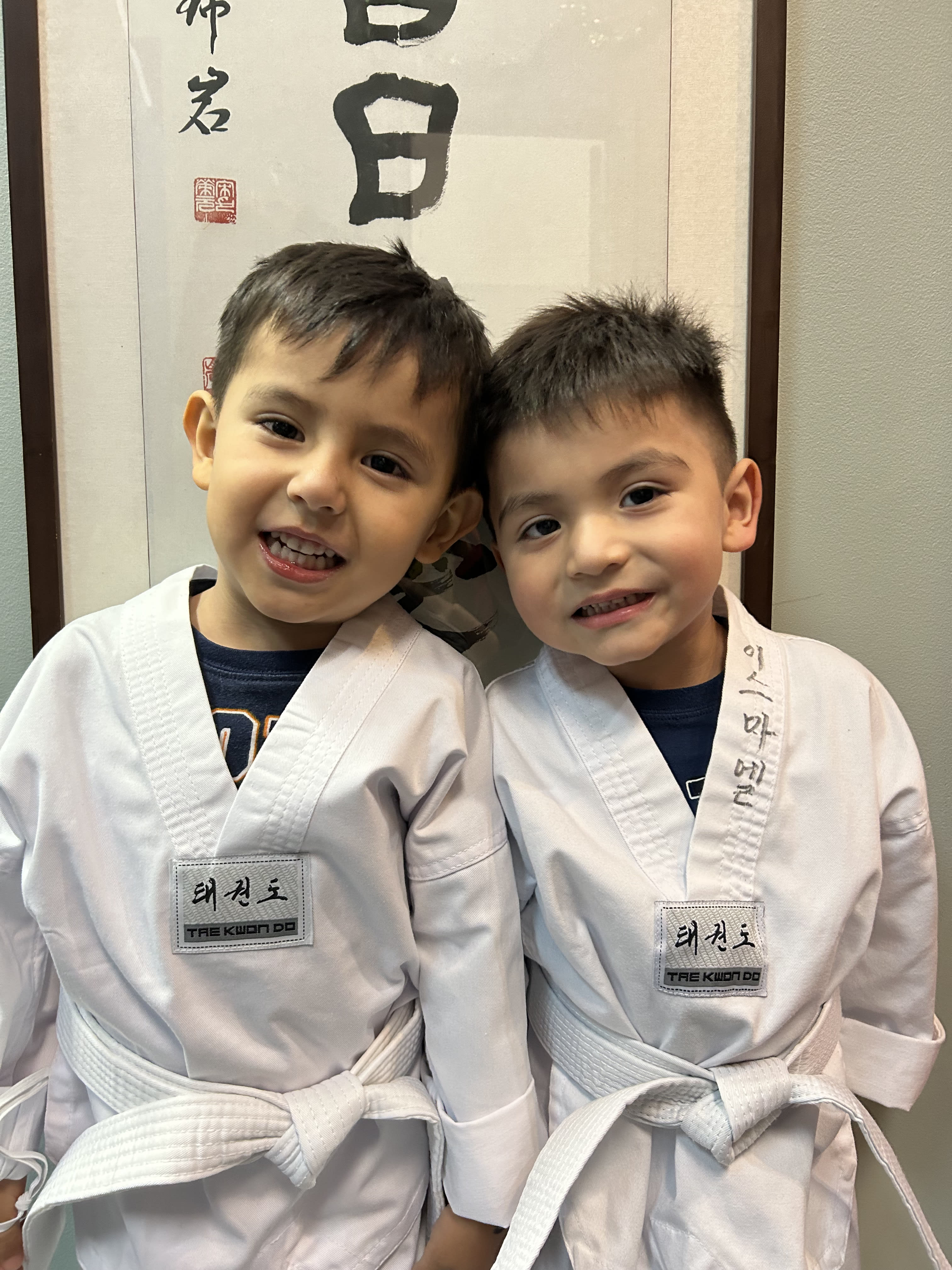 Kids Martial Arts near Chicago