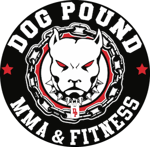Brazilian Jiu Jitsu in Norwalk