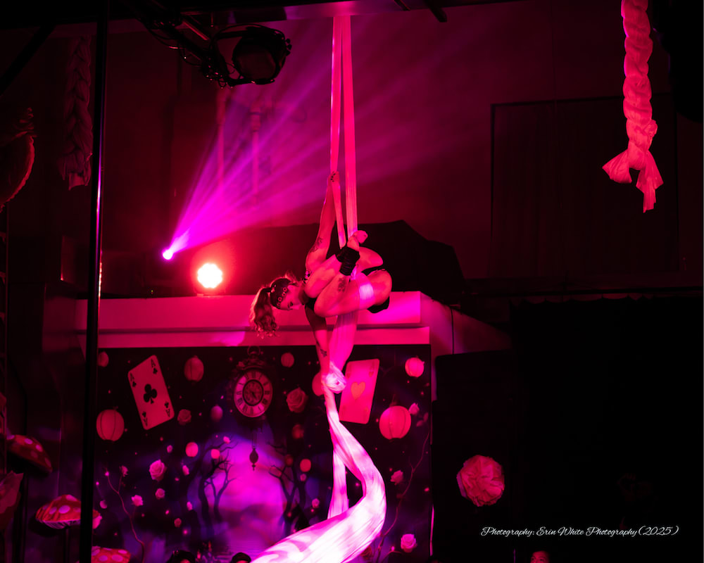 Youth Aerial Classes near Frederick