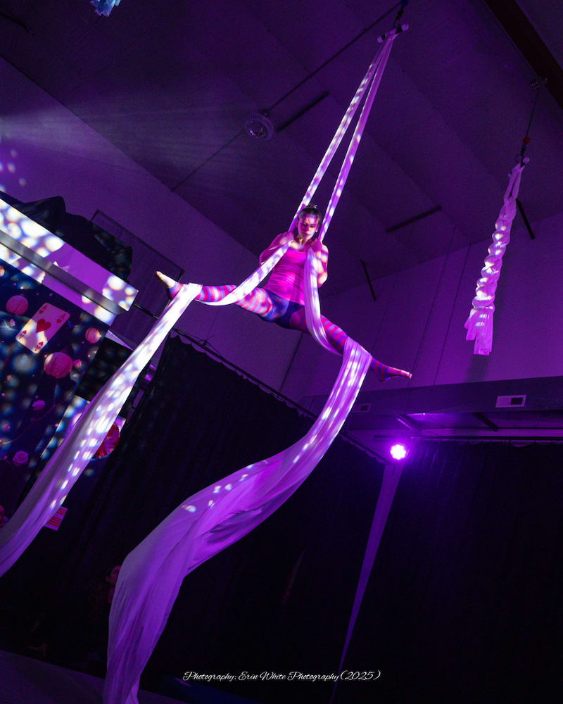 Youth Aerial Classes near Frederick