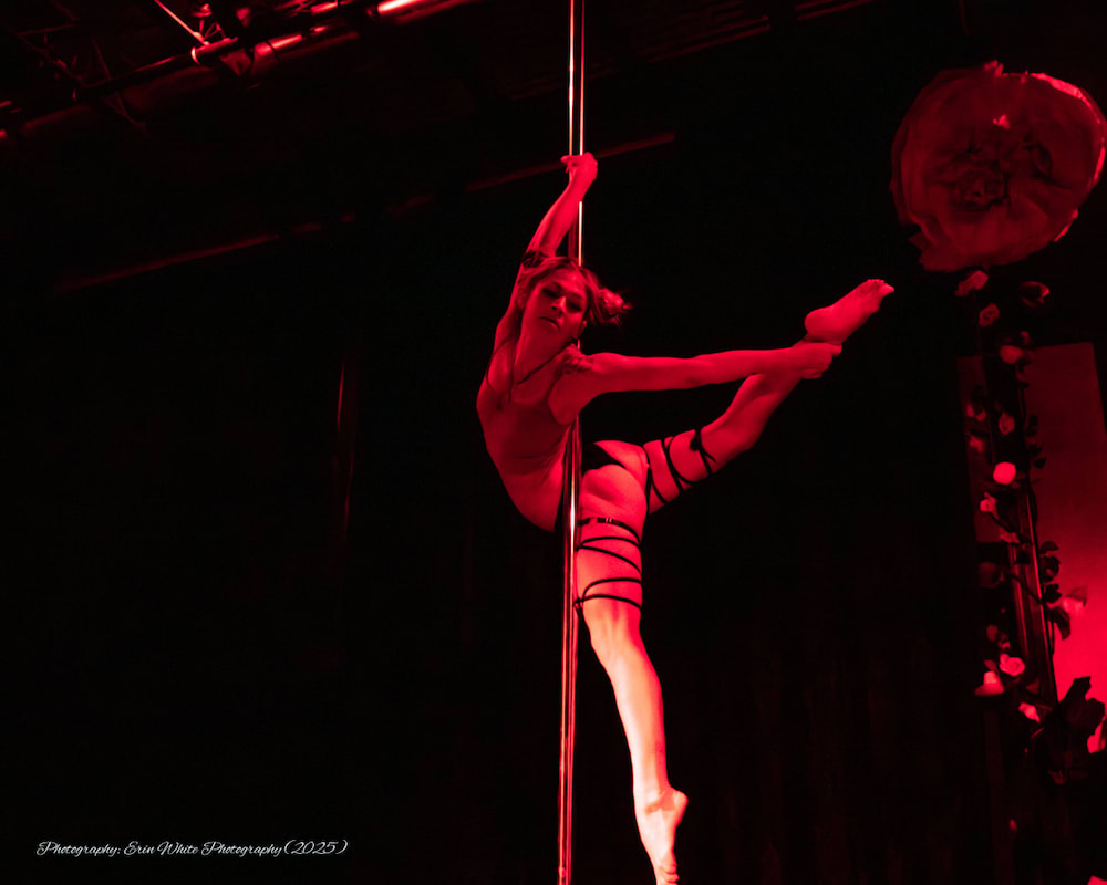 Youth Aerial Classes near Frederick