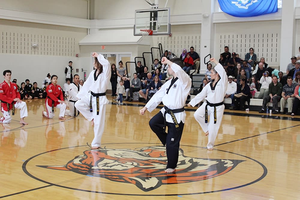 Advanced taekwondo and martial arts near Stamford