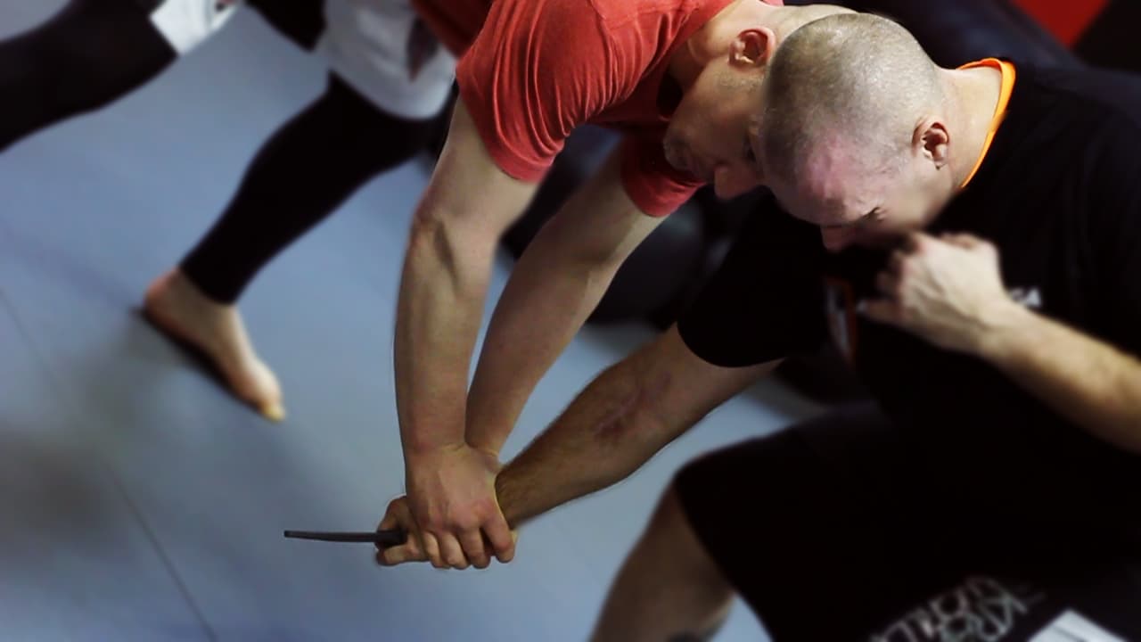 St. Charles Self Defense MidWest Krav Maga St. Charles, Missouri