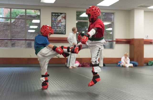 Kids Martial Arts near Raleigh