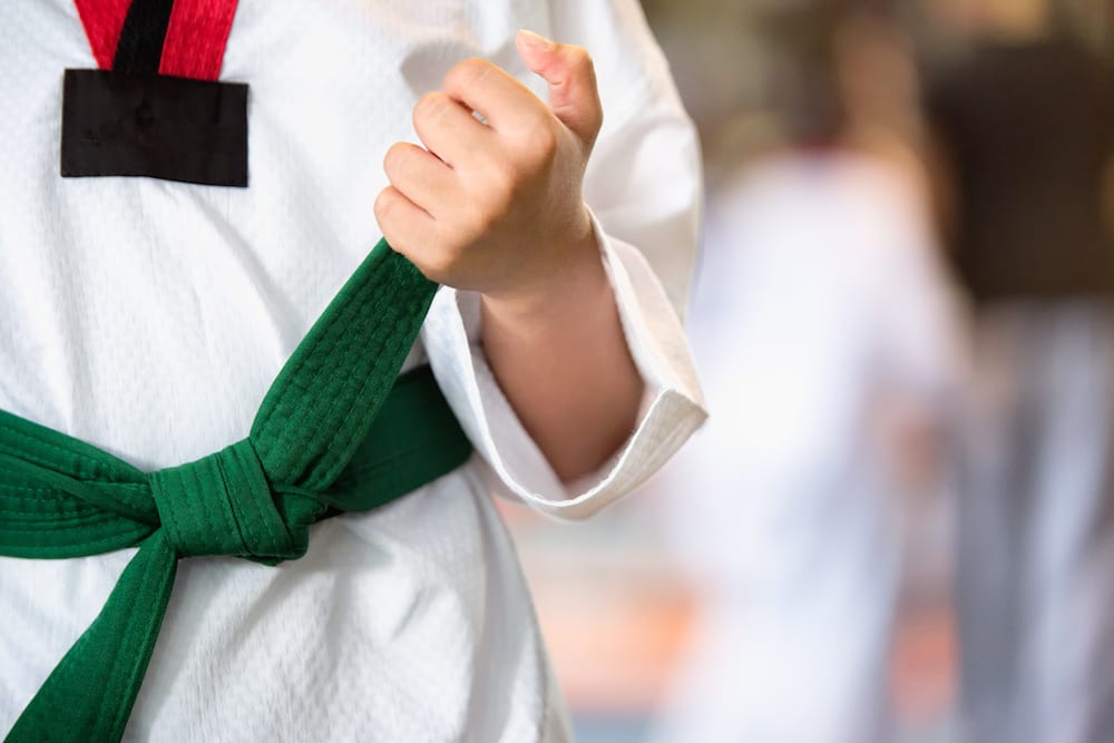 Kids Martial Arts near Winston Salem