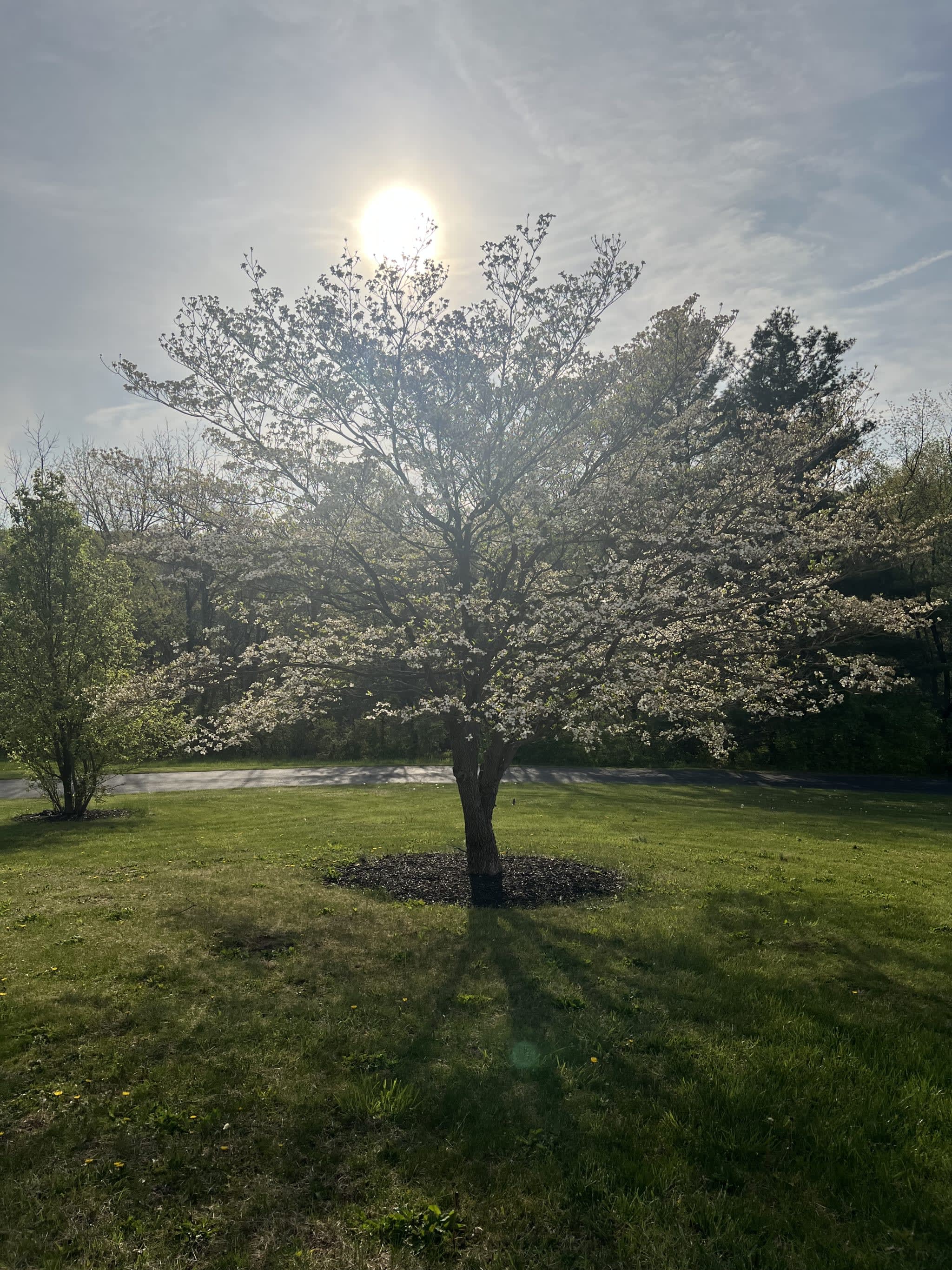 The Perfect Time to Begin: Hanover Boxing, Spring Renewal, and the ...