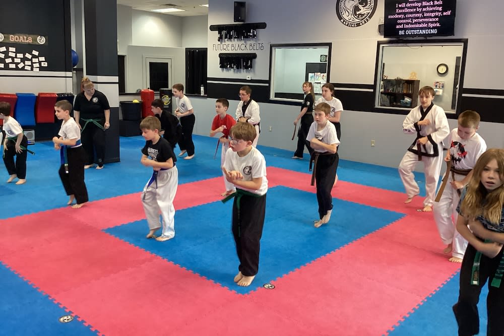 Kids Martial Arts near Hudson