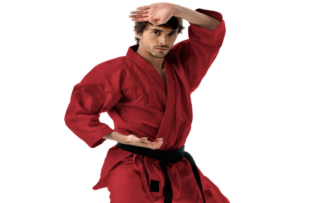 Ann Arbor Karate