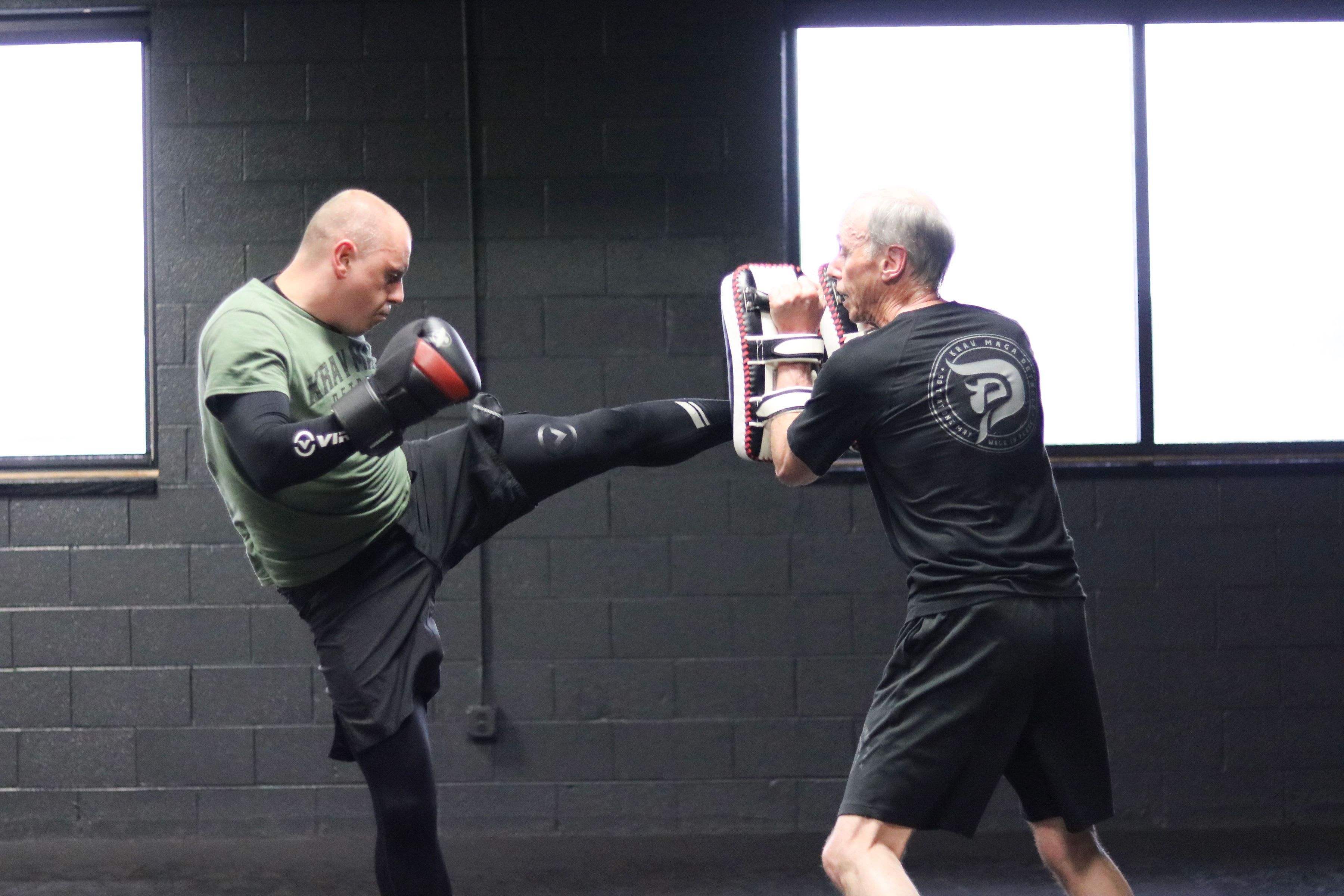 Self-defense Detroit