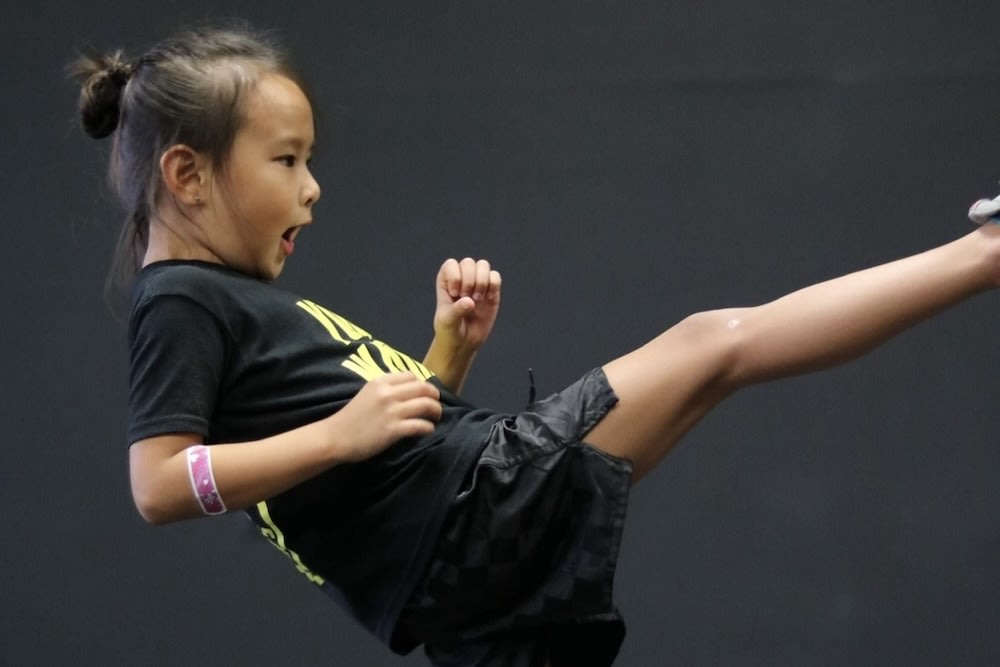 Krav Maga near Troy