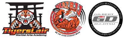 Skillz Martial arts in Mesa - Tigers Lair