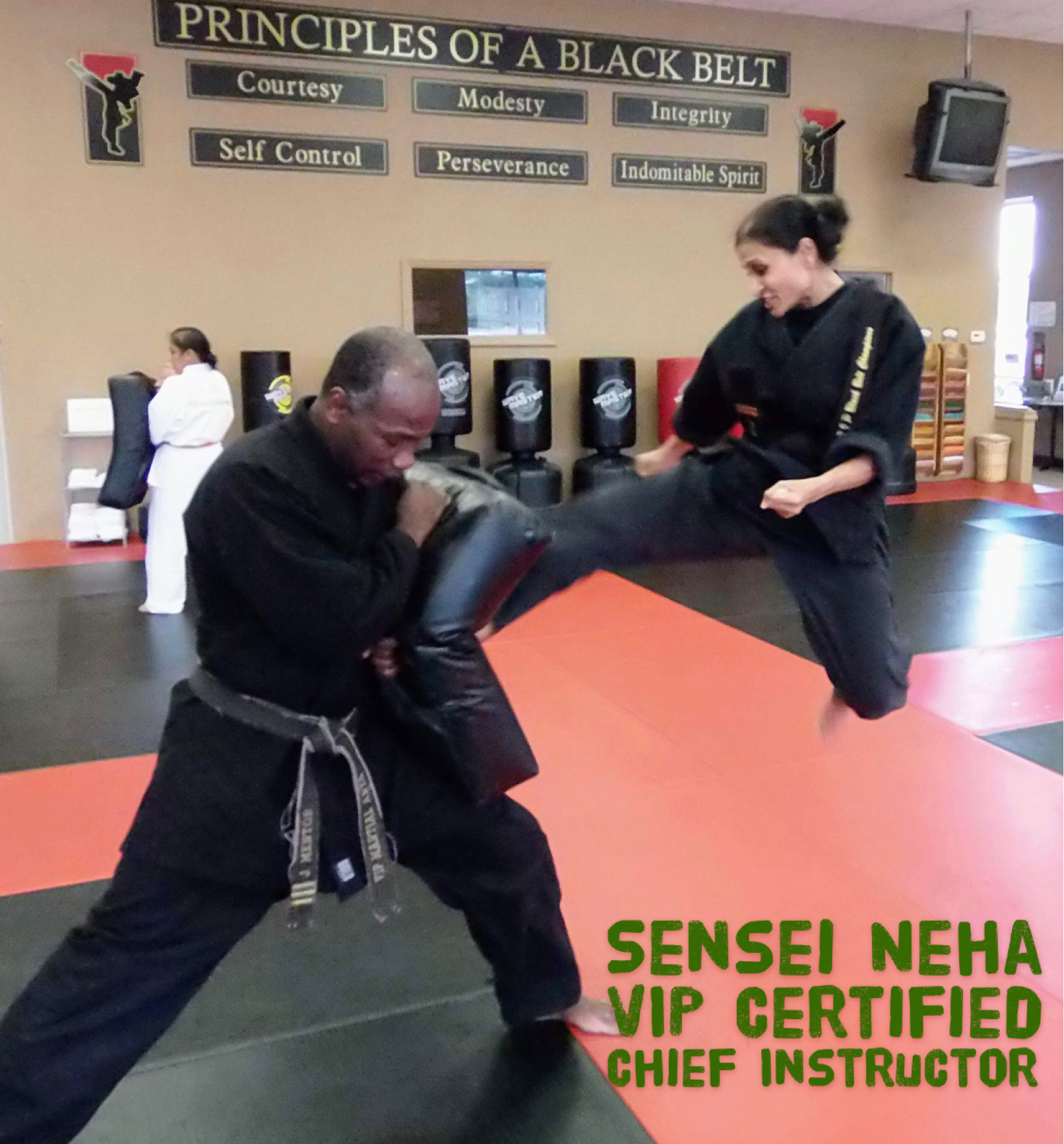 Kids Martial Arts near Odessa