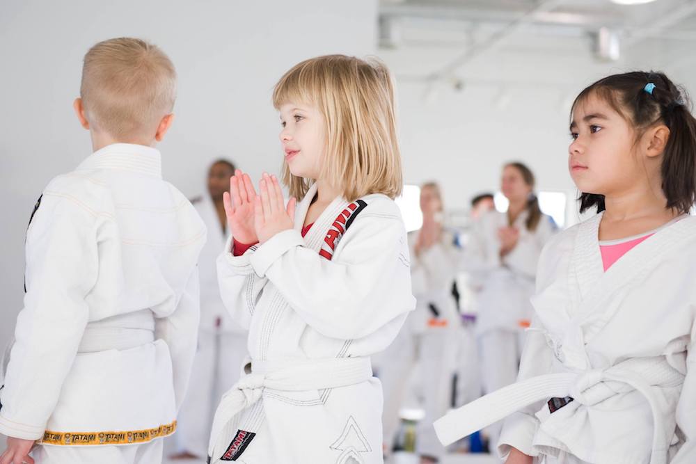 St. Louis Park Jiu Jitsu MTheory Martial Arts St Louis Park, Minnesota