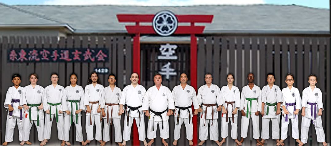 Kids Karate near Wellington