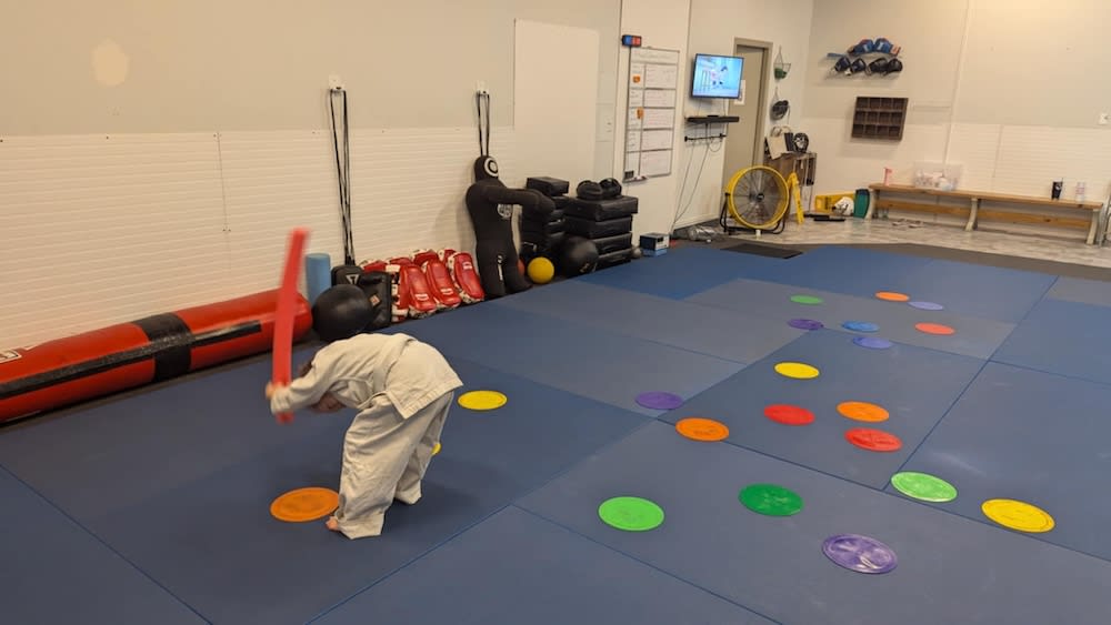 Special Needs Kids Martial Arts near Jonesville
