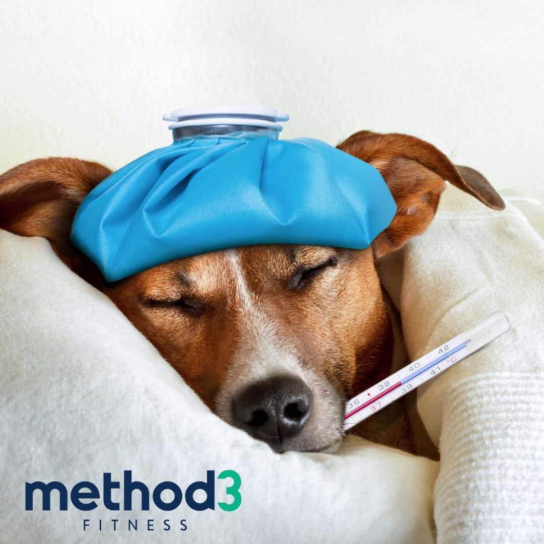 How To Get Back On Track After Being Sick