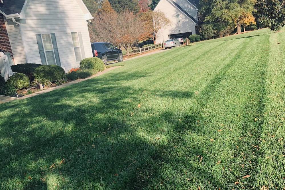 Lawn Care near Greensboro