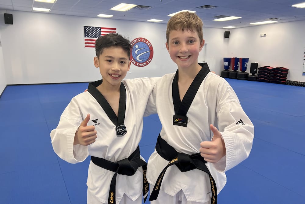 Kids Martial Arts near Naperville