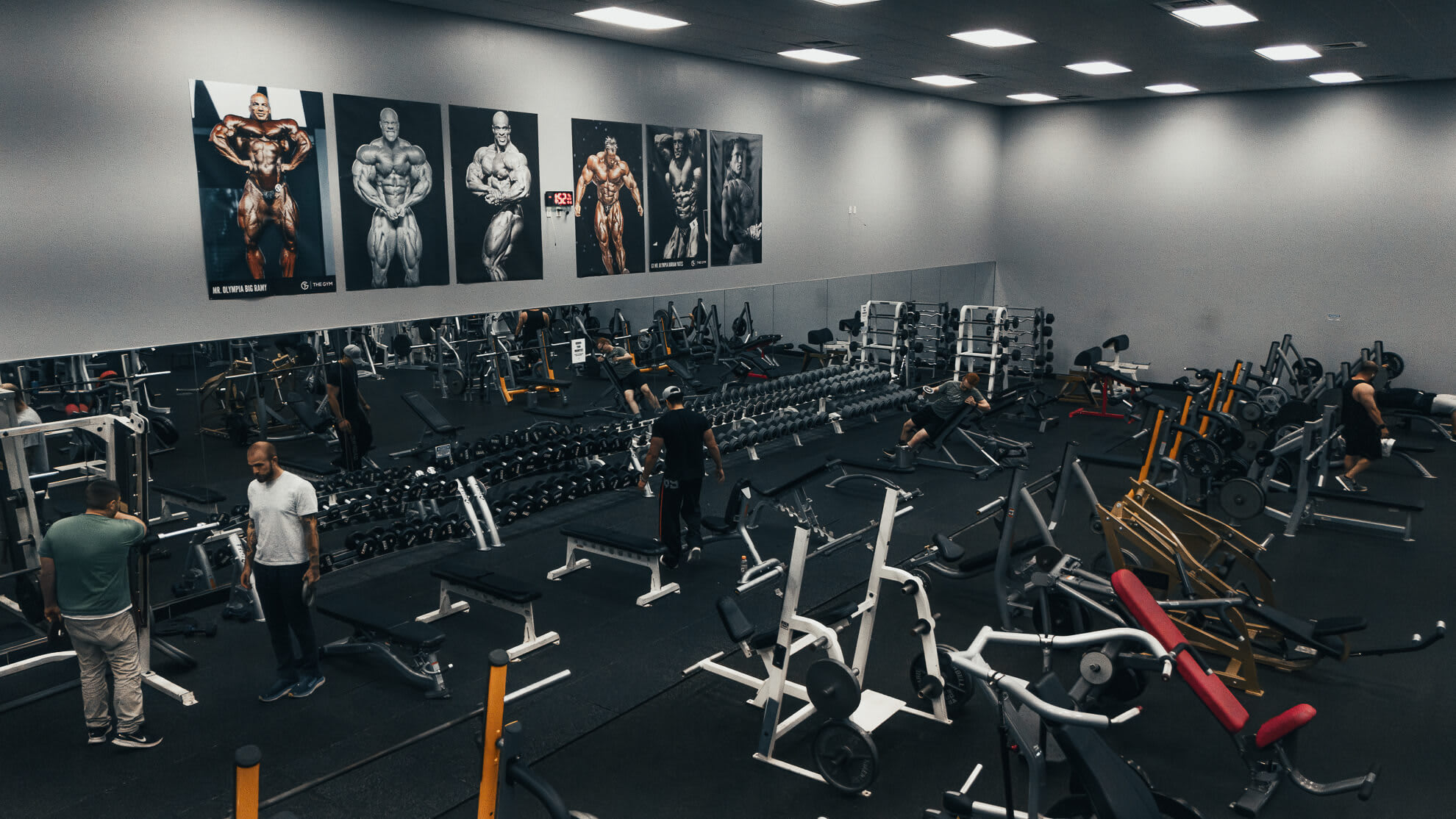 Personal Training near Mesa