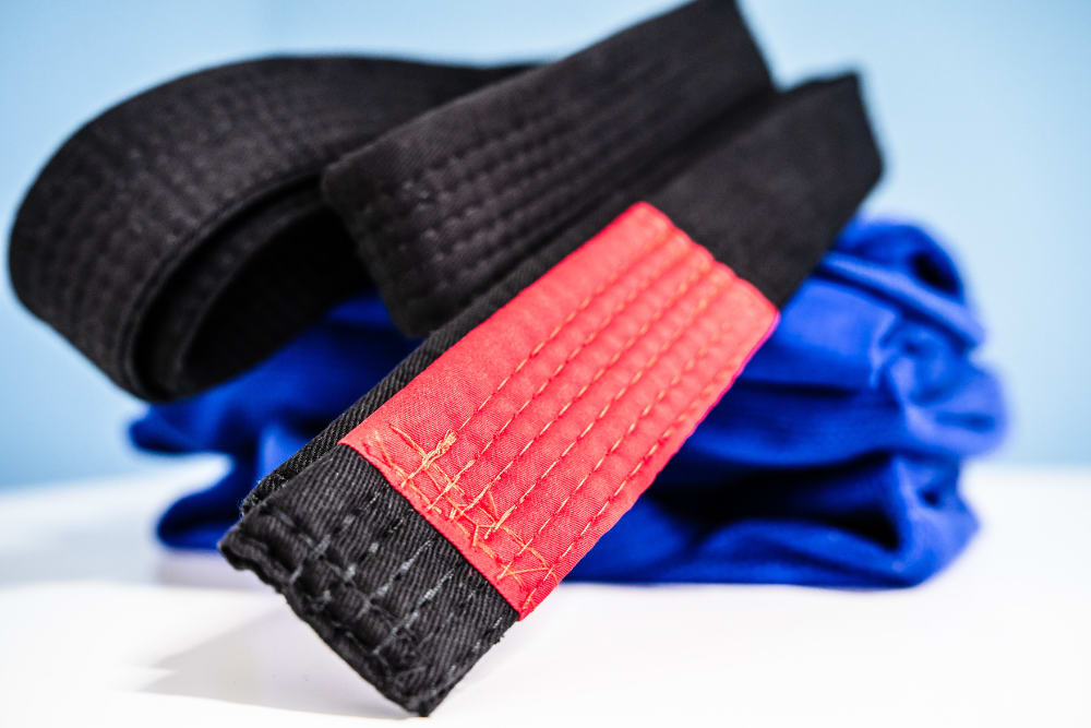 Women's Brazilian Jiu Jitsu near Orange Park