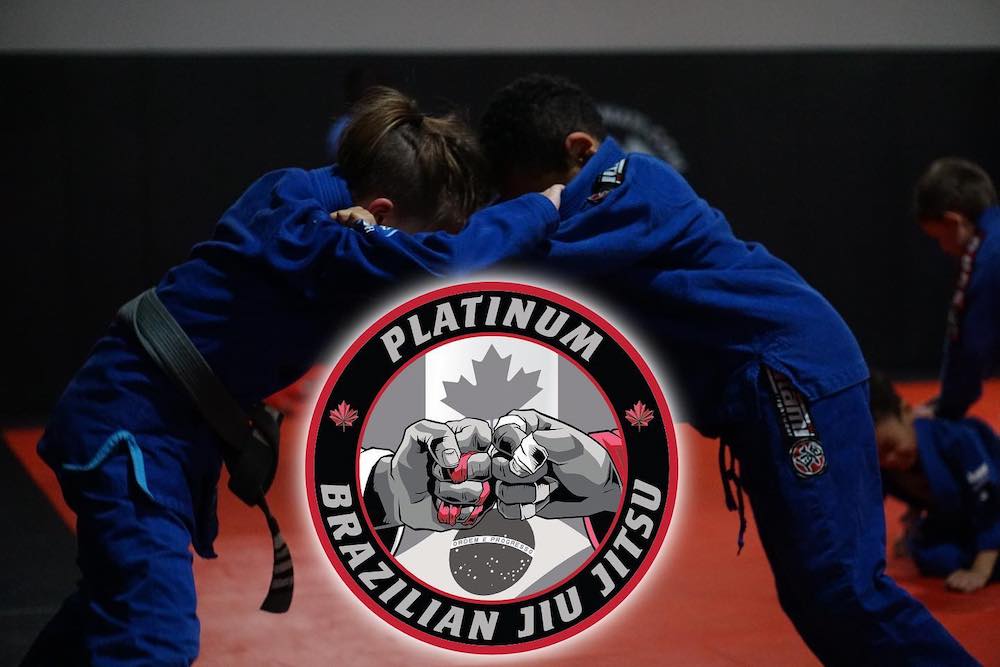 London Martial Arts Programs Platinum Training Facility London, Ontario