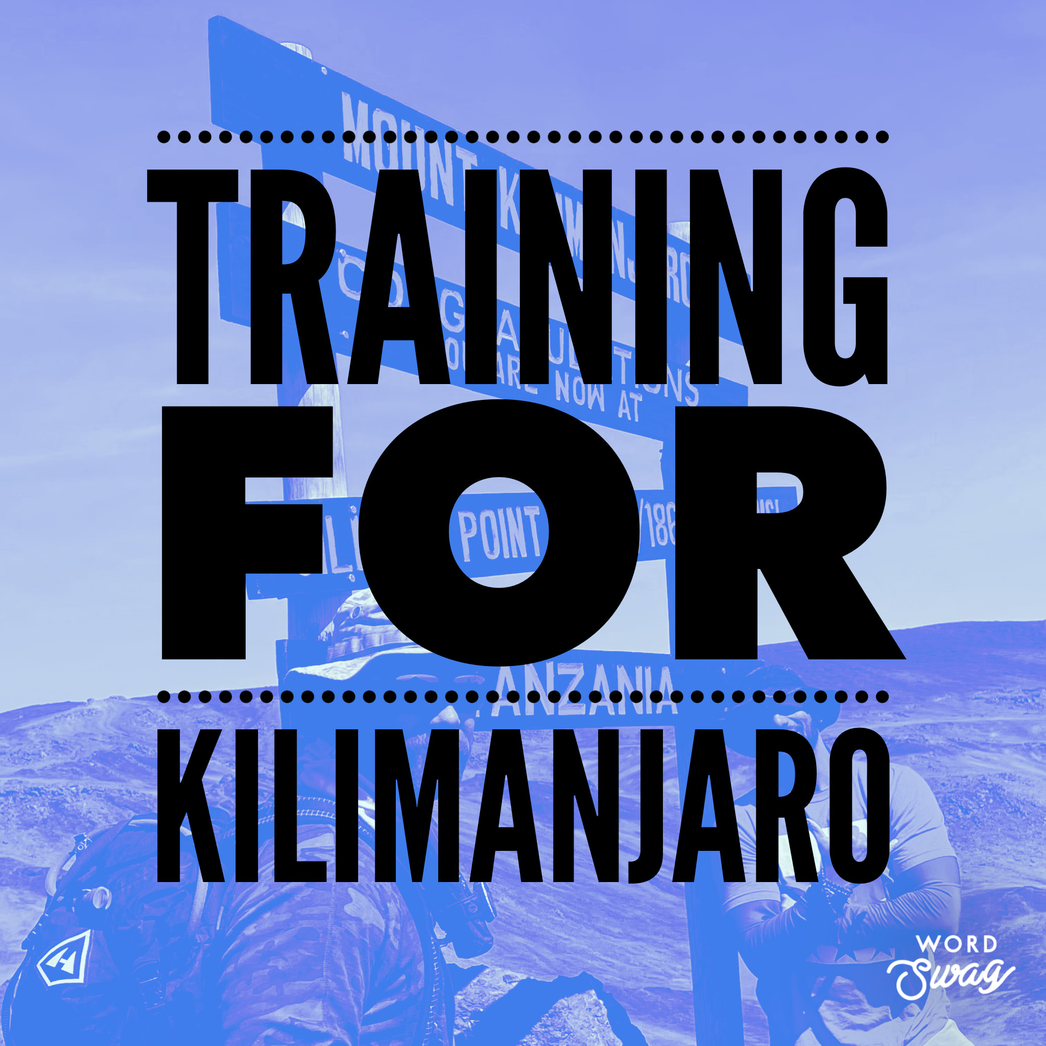 Why the Aerobic Step Belongs in Your Training Program - Kilimanjaro