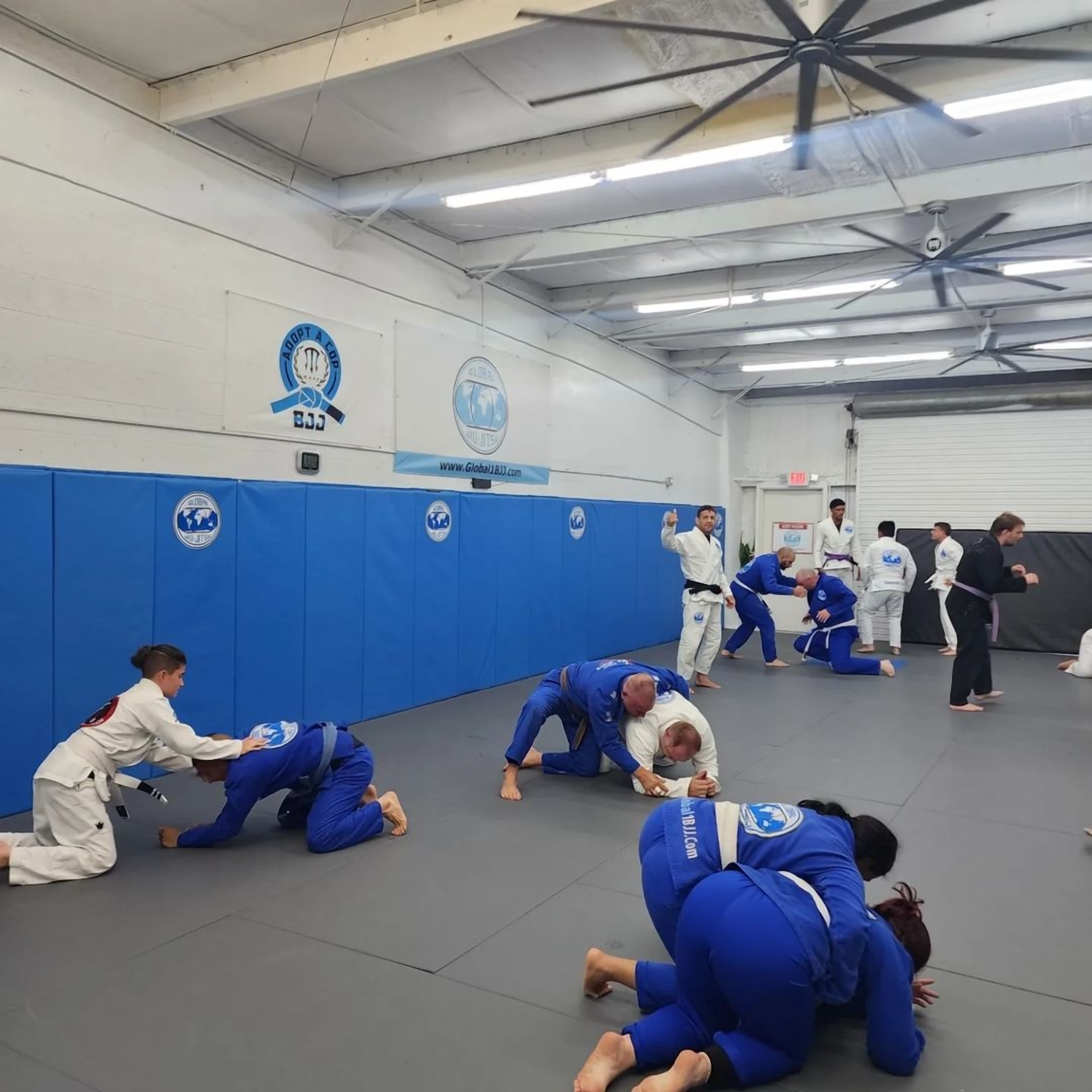 Strength, Agility, and Mental Toughness The Triple Threat of BJJ