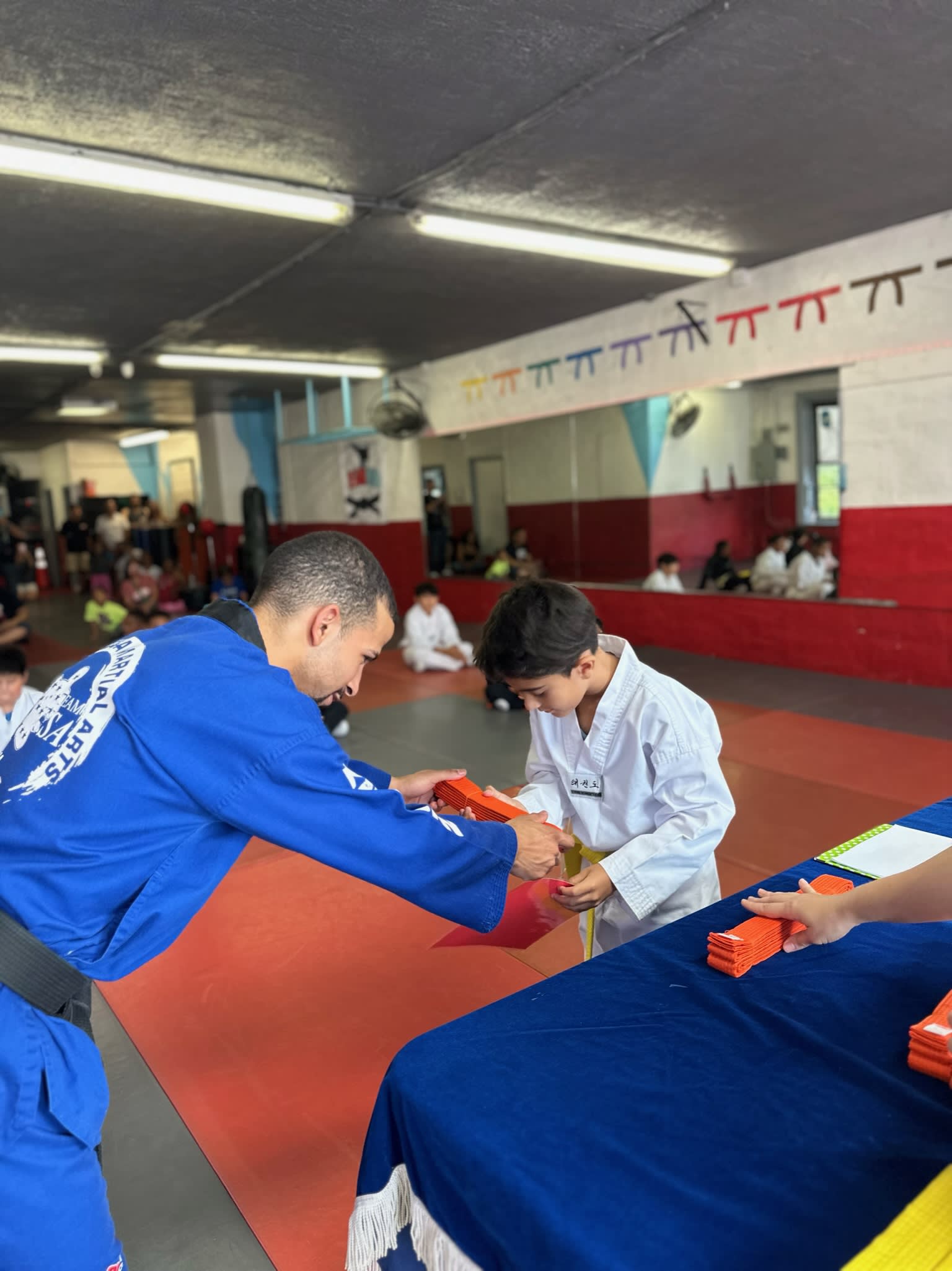 Kids Martial Arts near South Bronx
