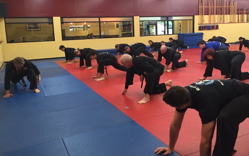 Houston Kids Martial Arts Meyerland Martial Art Center Houston, Texas