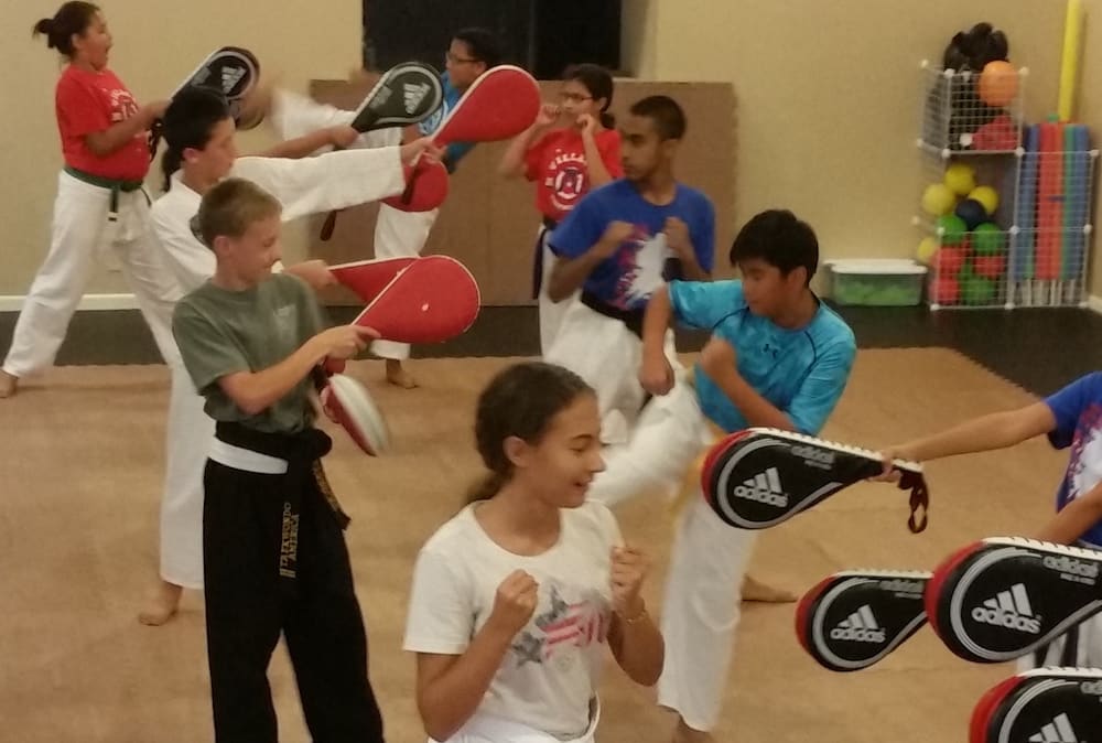 Powell Martial Arts Programs Powell Martial Arts Powell, Ohio