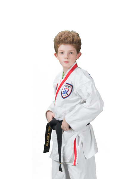 Kids TaeKwonDo near Mooresville