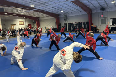 Kids Martial Arts near Springfield