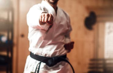 Ann Arbor Karate