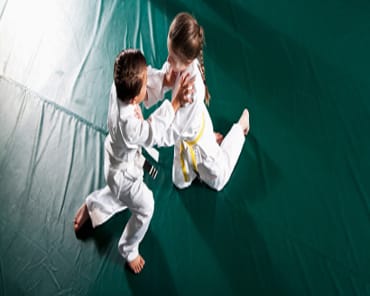 Kids Martial Arts Ann Arbor