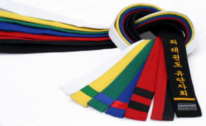 students in Tang Soo Do in Downingtown and Chester Springs - World Martial Arts Academy students in Tang Soo Do in Downingtown and Chester Springs - World Martial Arts Academy