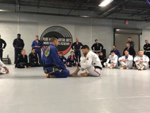 students in Brazilian Jiu Jitsu in Rockaway - Pure Mixed Martial Arts