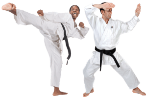 students in Adult Martial Arts in Lake Orion - Pro Martial Arts - Lake Orion